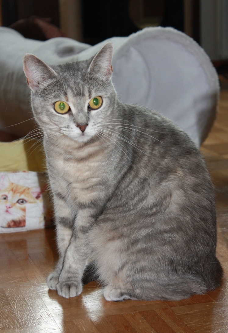 Hilma
