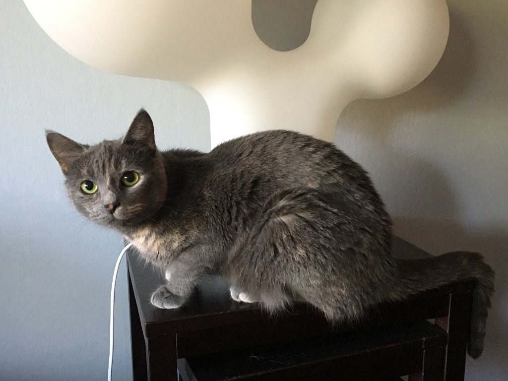 Muru